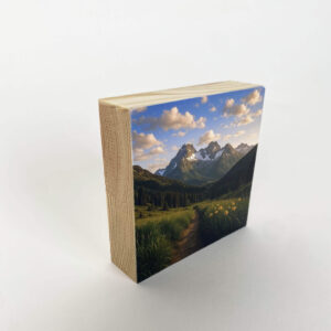 הדפסה ישירה על בלוק מעץ בגודל 10X10 ס"מ